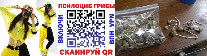 Псилоцибиновые грибы Psilocybe  Губаха 