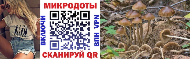 Галлюциногенные грибы ЛСД Губаха